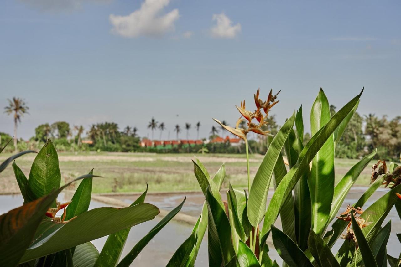 Bruann Villa 3 Pererenan, Seseh, Canggu, Amazing View, 2 Bedroom Mengwi ภายนอก รูปภาพ