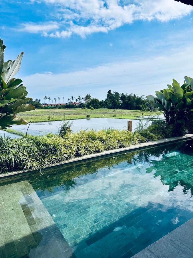 Bruann Villa 3 Pererenan, Seseh, Canggu, Amazing View, 2 Bedroom Mengwi ภายนอก รูปภาพ